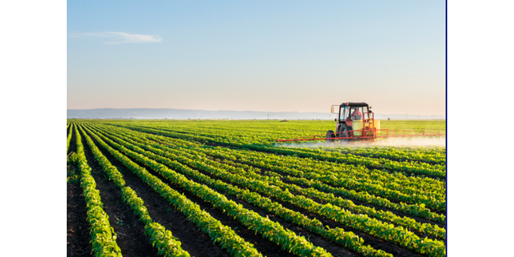 A sustainable solution to produce fertilisers probed at the ESRF